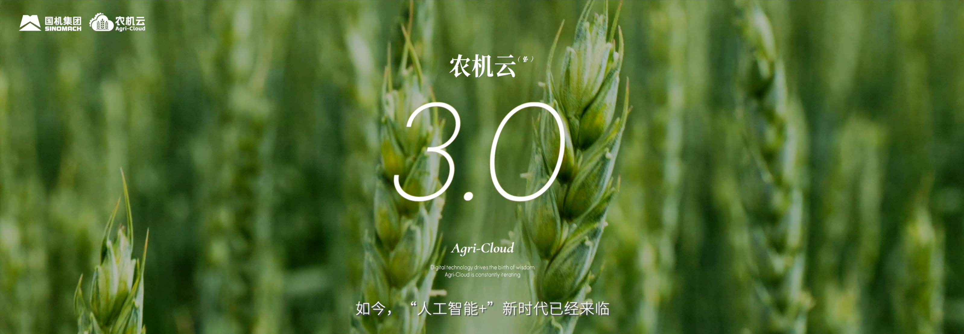 PG试玩
